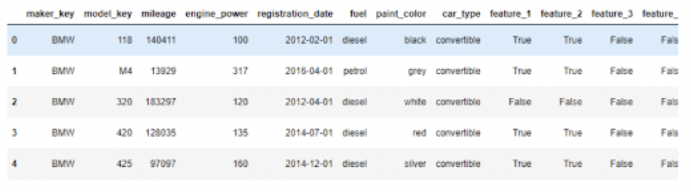 Displaying the first rows using bmw_df.head()