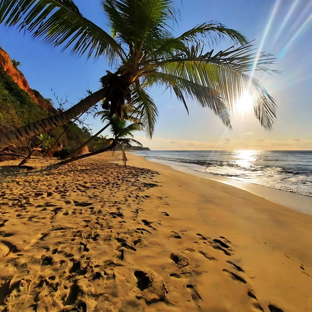 Passeios em Porto seguro