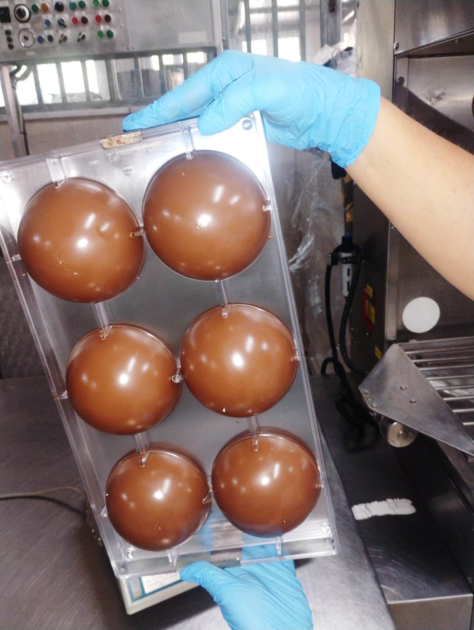Una persona che indossa guanti blu tiene in mano un vassoio con sei sfere di cioccolato.