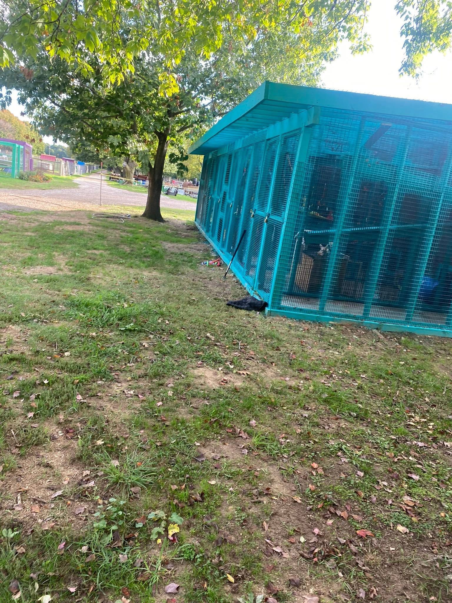 Blue tarp-covered structure in a grassy park under trees