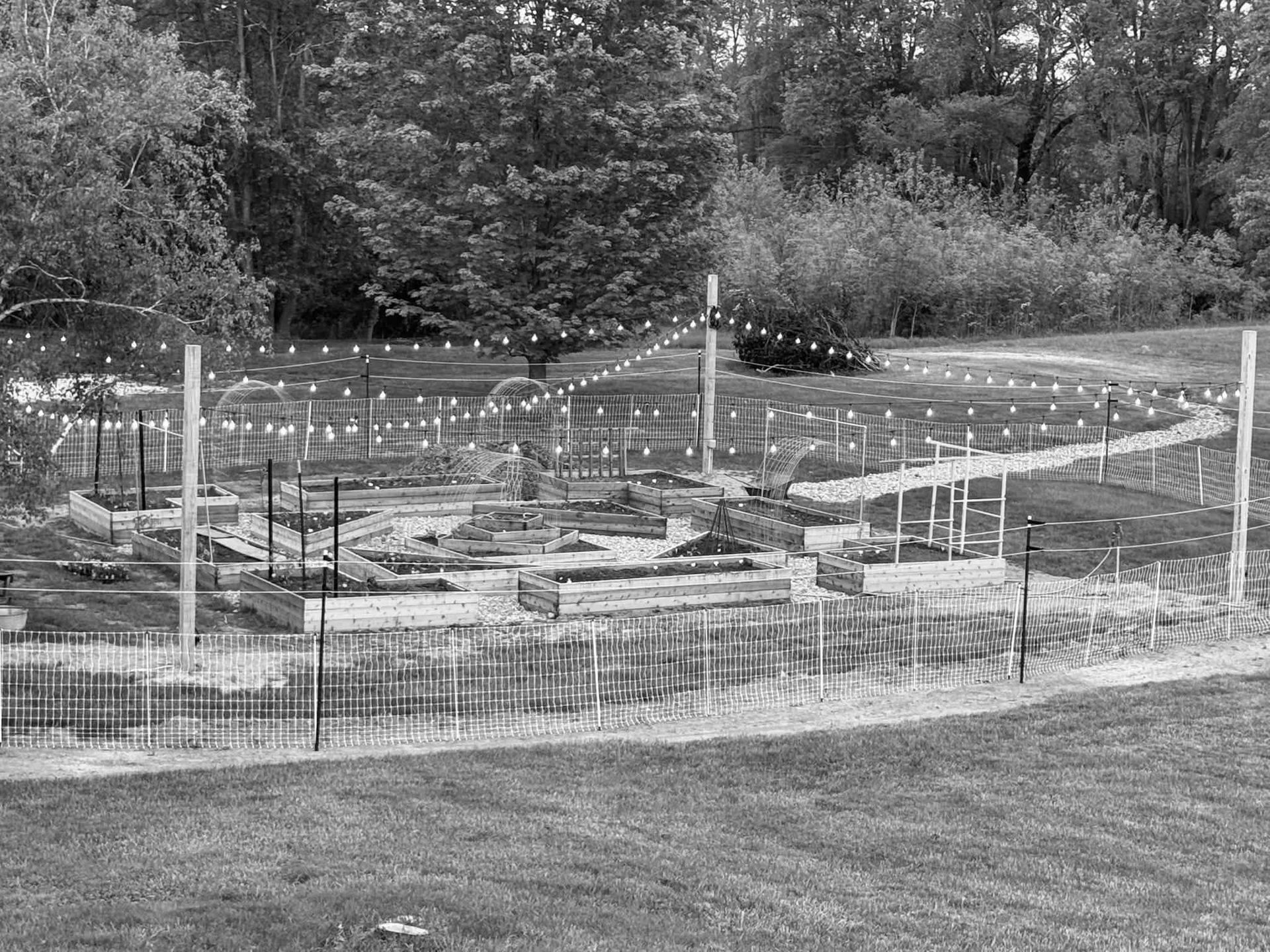Small fenced garden bed with young plants and stakes in a grassy park, bordered by trees.