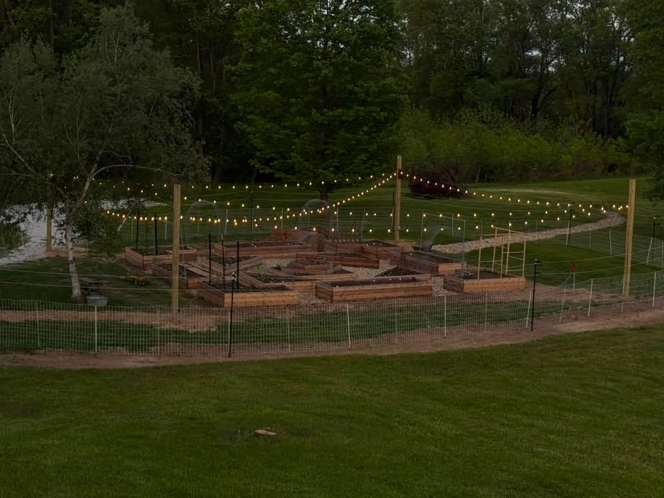 String lights around an outdoor fire pit seating area surrounded by trees and grass.