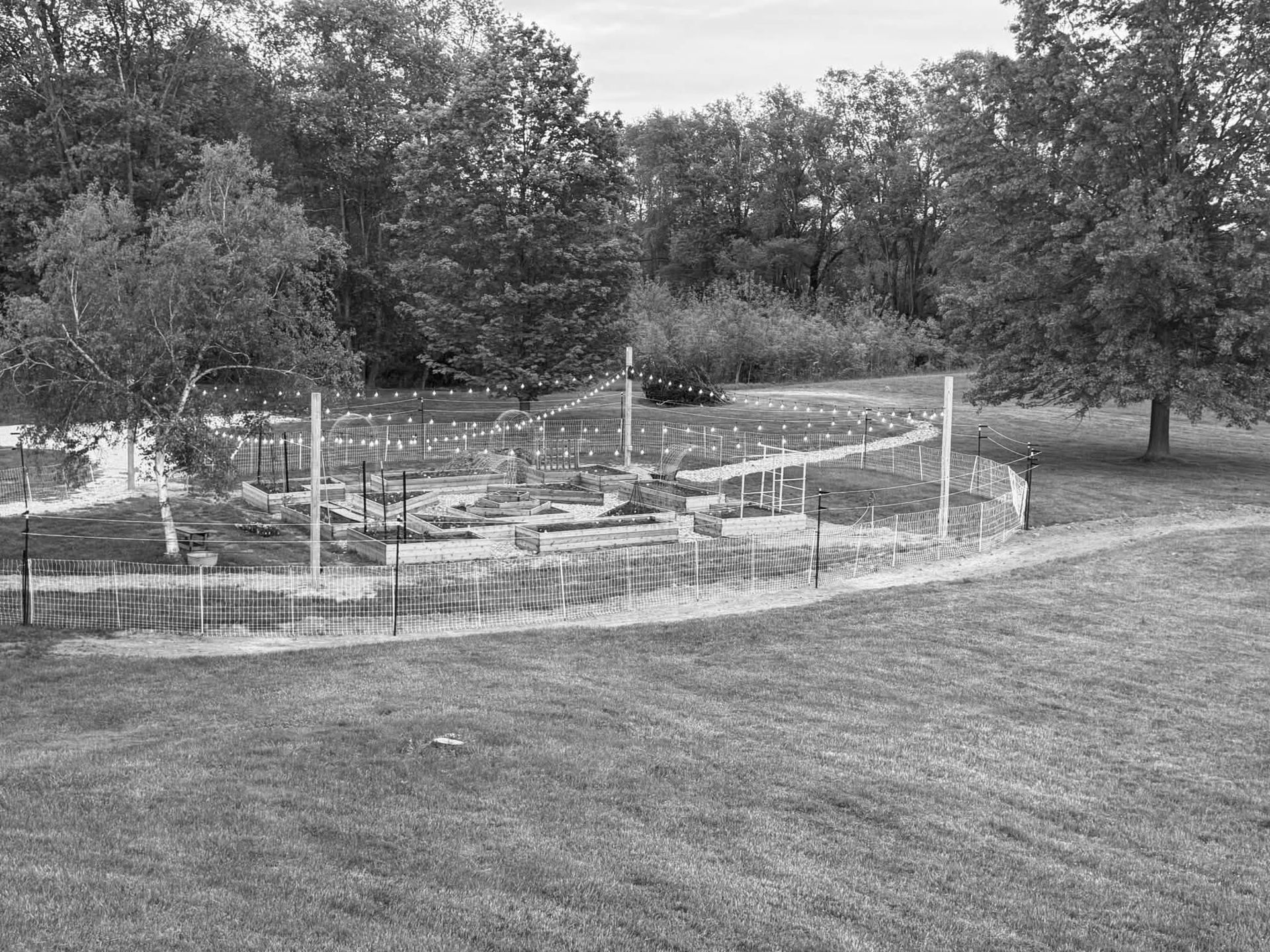 Backyard garden with raised beds and trellis fencing beside a grassy lawn and trees