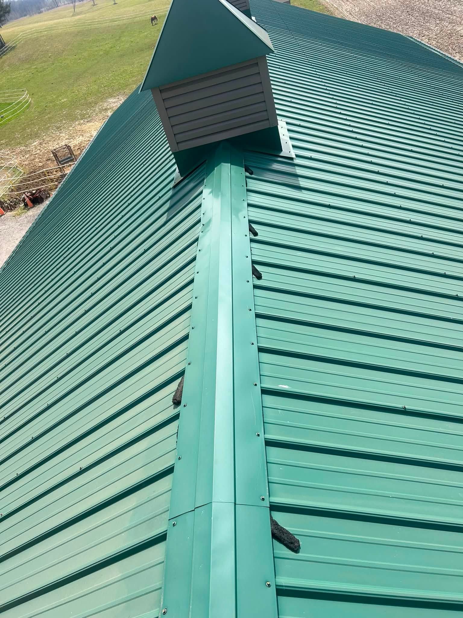 Green metal roof with a central seam and rooftop vent against a grassy background
