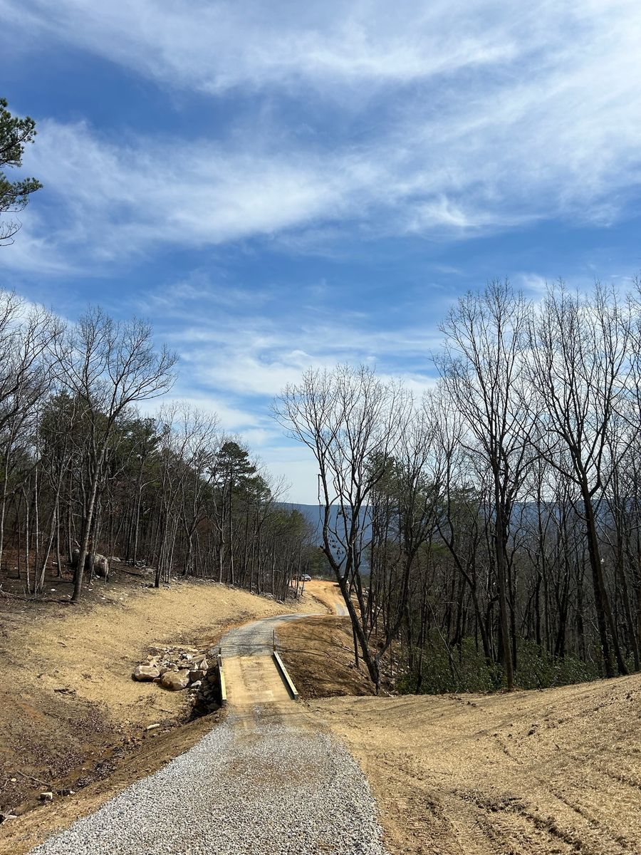 A dirt road going through a forest on a sunny day.