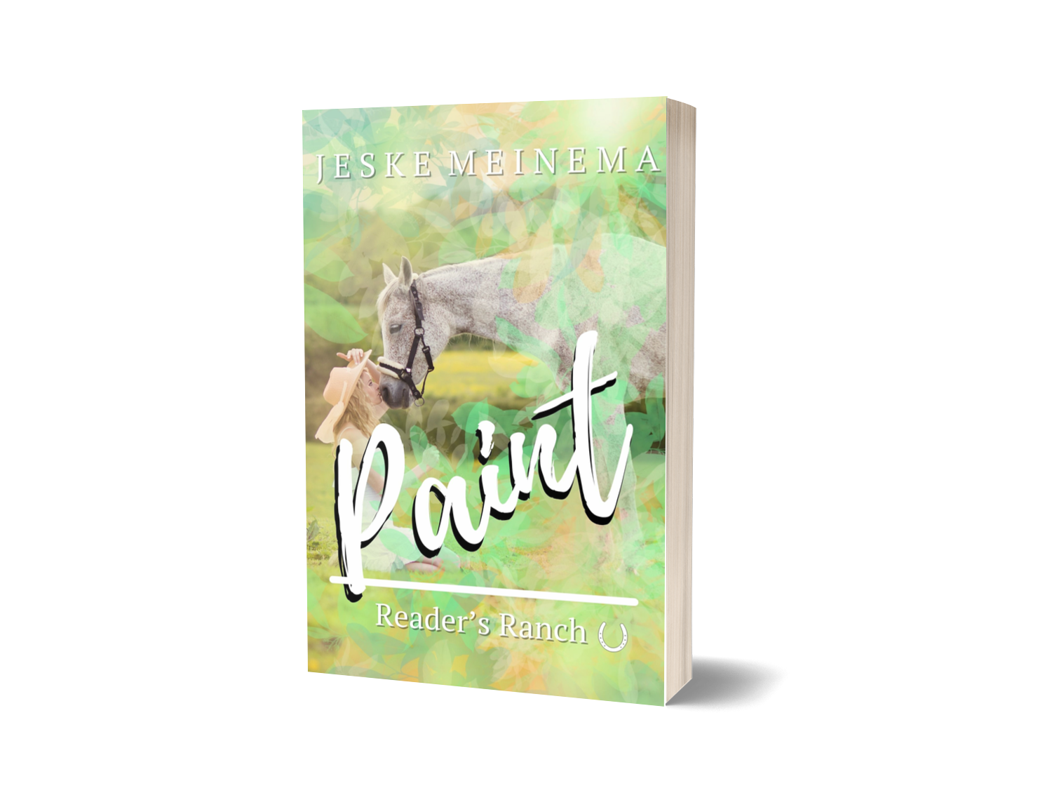 'Paint' - Reader's Ranch (Boek #4) / Jeske Meinema