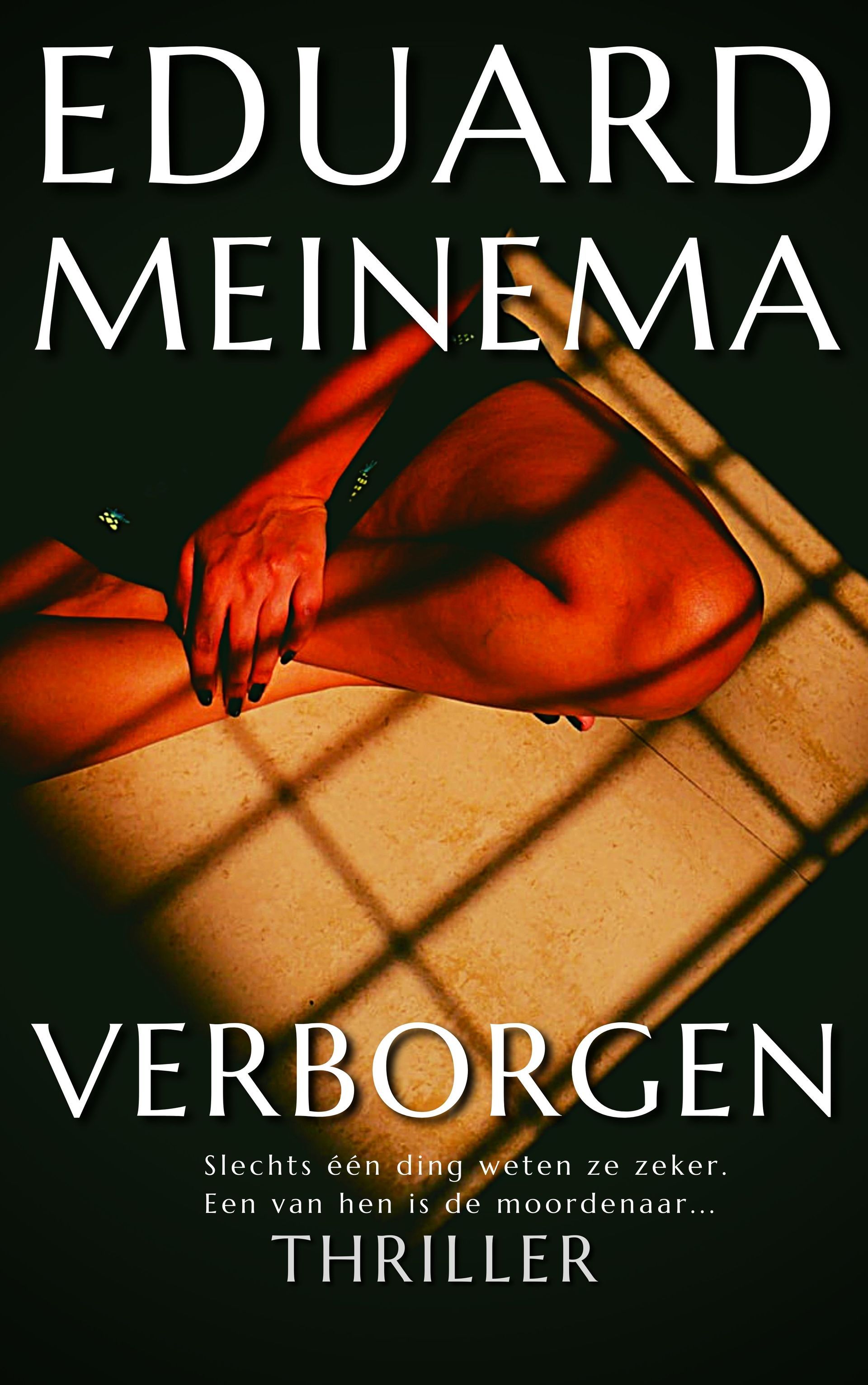 Verborgen - Eduard Meinema