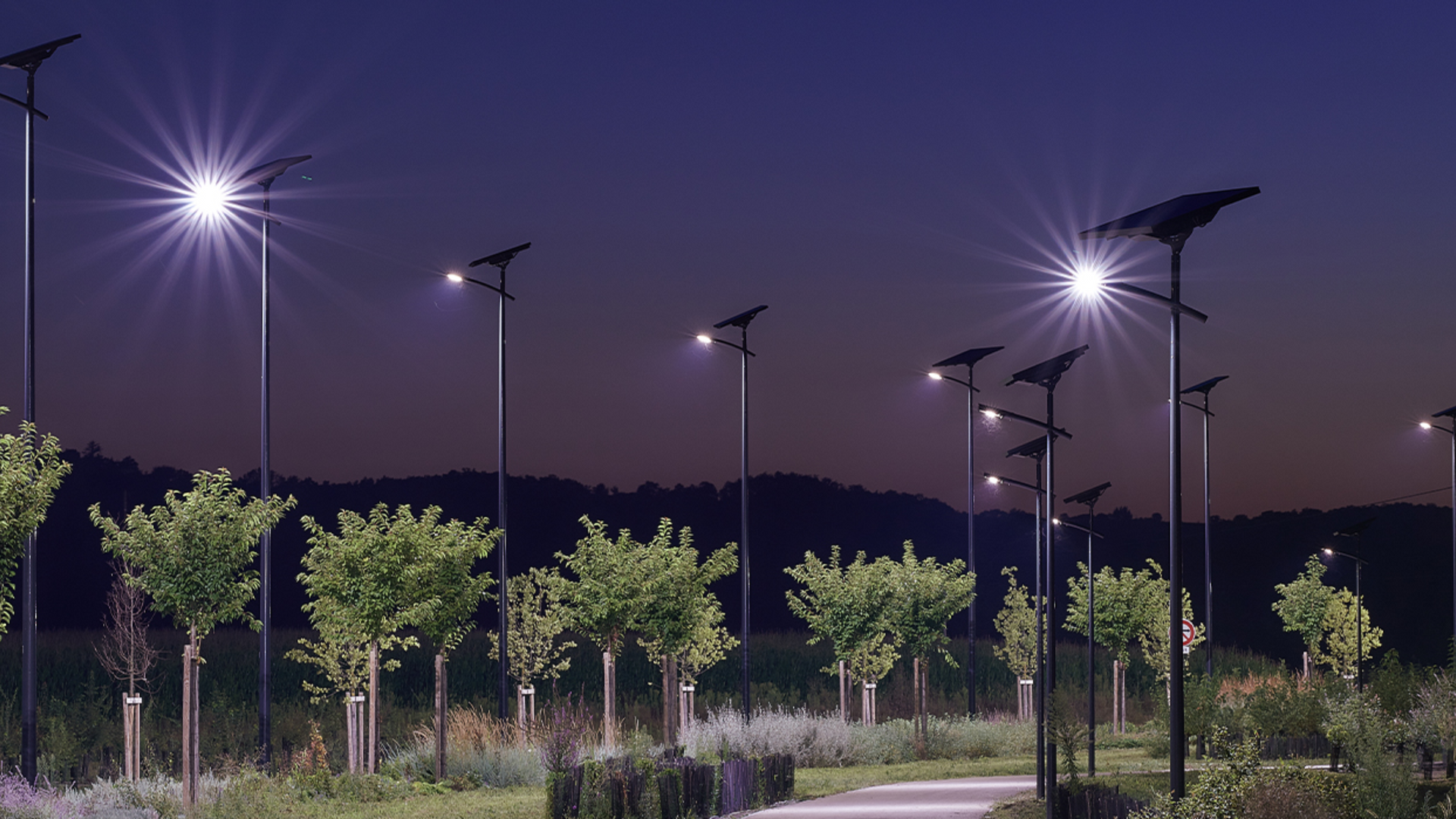 Une rangée de lampadaires est allumée la nuit