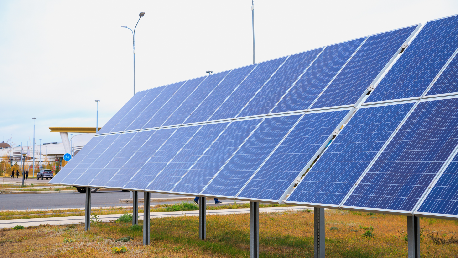 Une rangée de panneaux solaires assis côte à côte dans un champ.