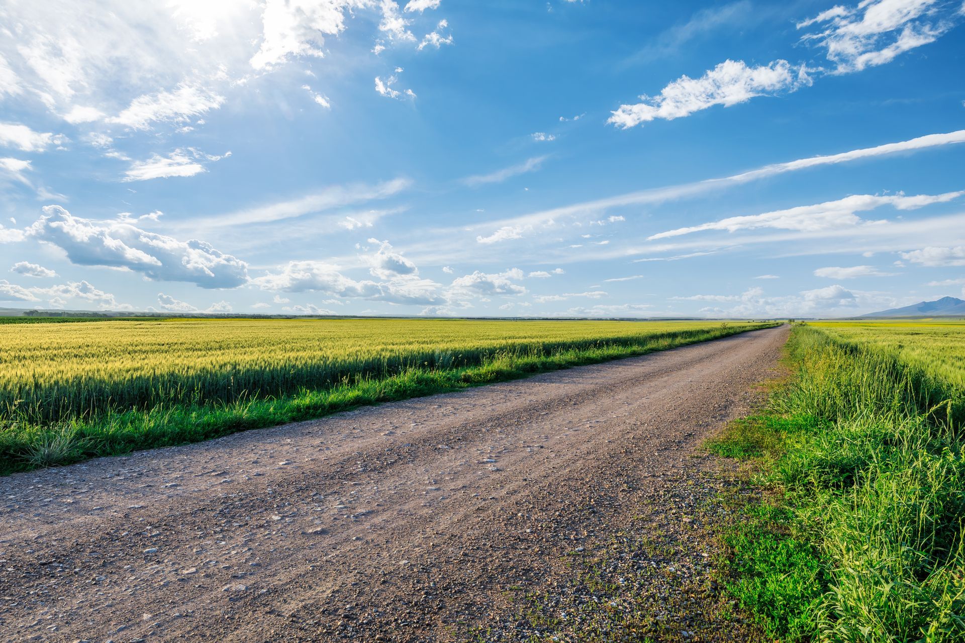 Gravel road through green and yellow fields under a bright blue sky with scattered clouds.