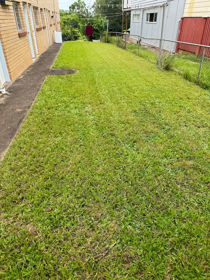 A narrow grassy yard between two buildings, freshly mowed.
