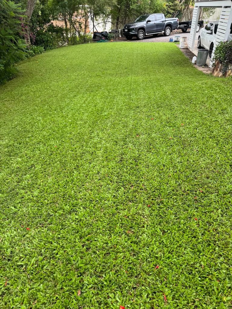 A lush green lawn with a truck parked in the background.