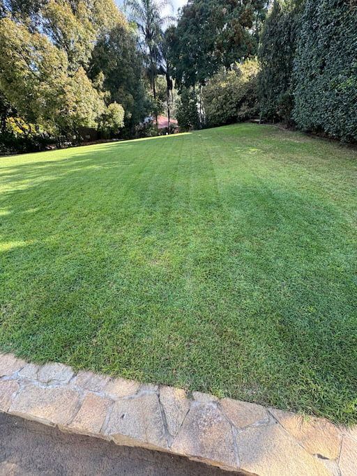 A lush green lawn with trees in the background in Brookefield