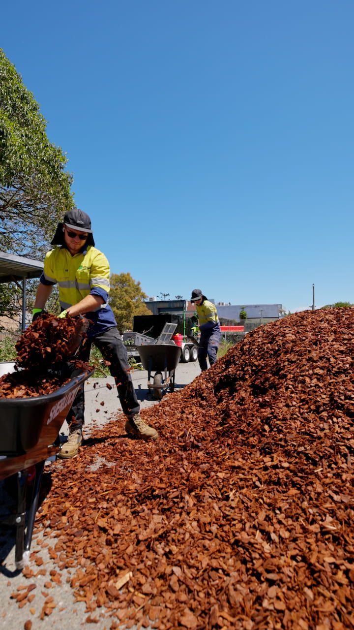 A person throwing mulch