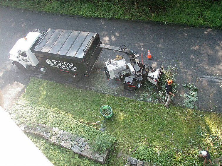 Tree Service New Milford, CT