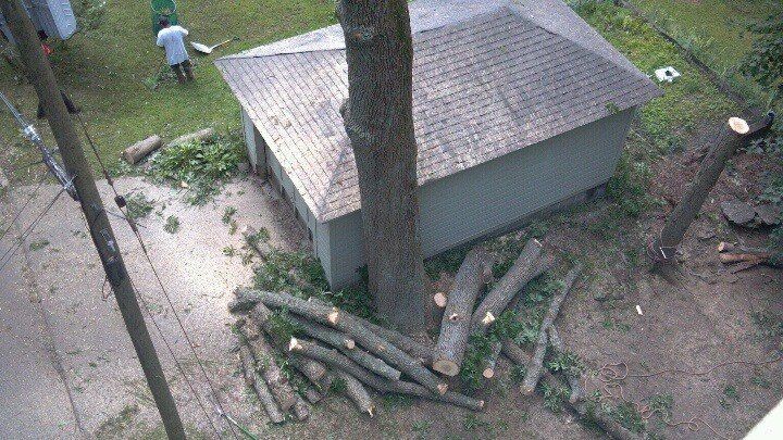 Tree Service Kent, CT