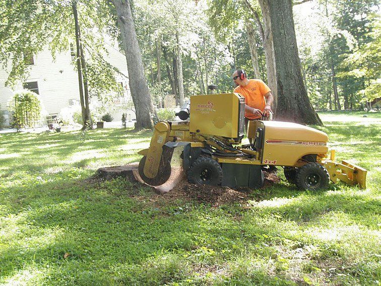 Tree Service Brookfield, CT