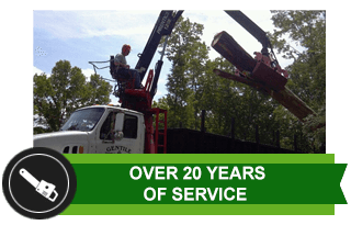 Tree Service Danbury, CT