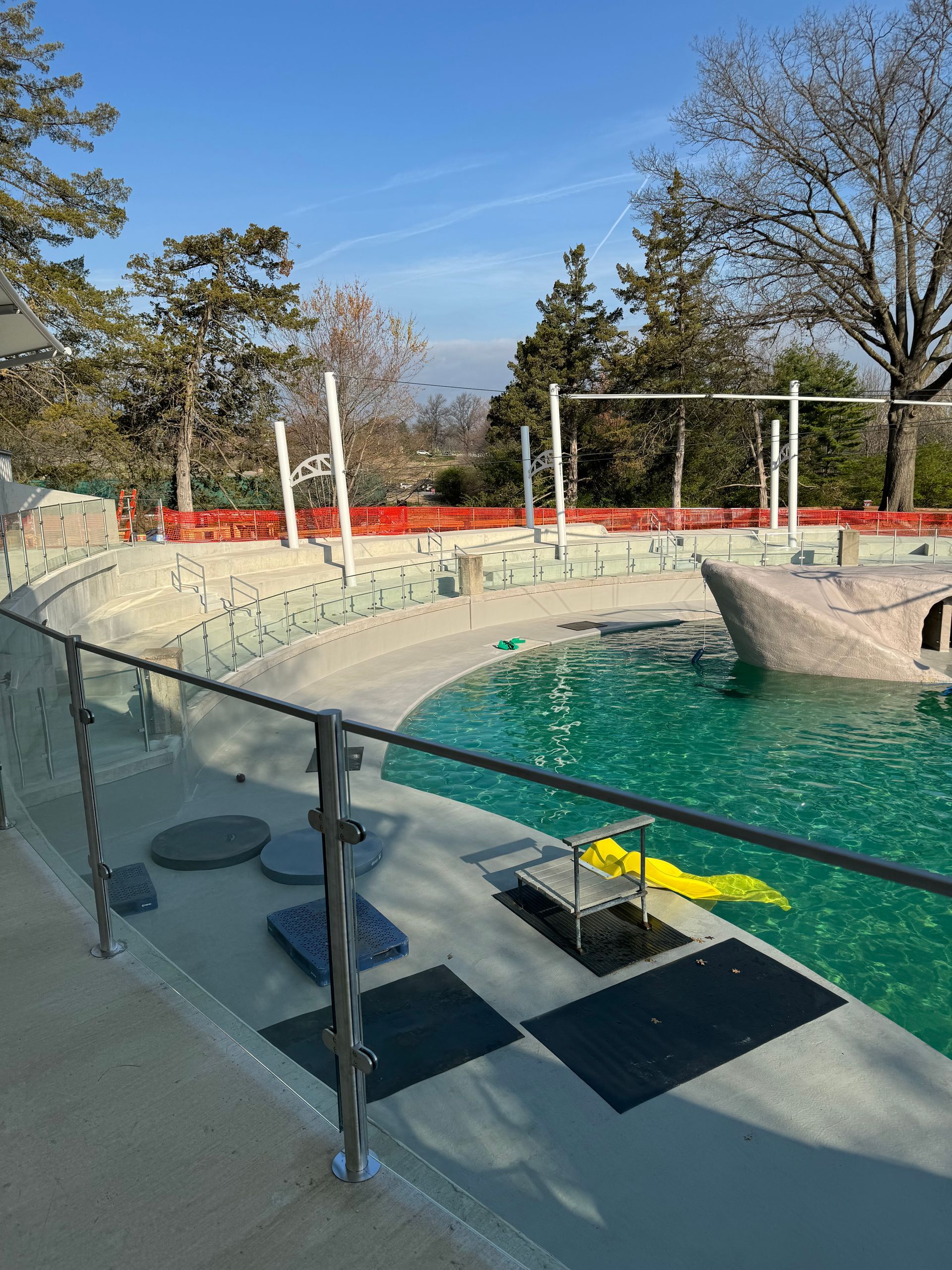 A  pool with a custom glass and fabricated railing around it and trees in the background.