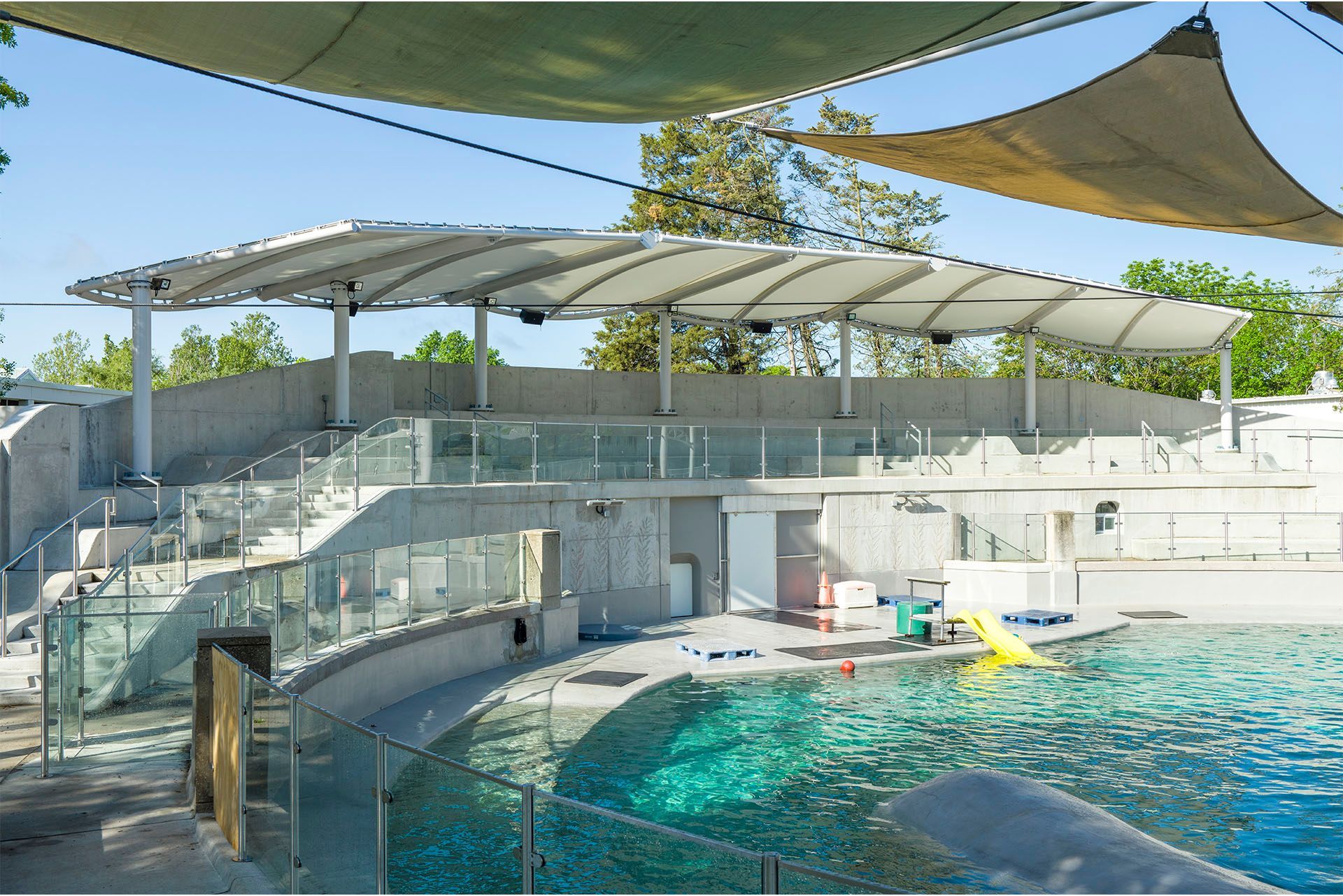 A  pool with a large umbrella over it surrounded by custom glass and metal fence