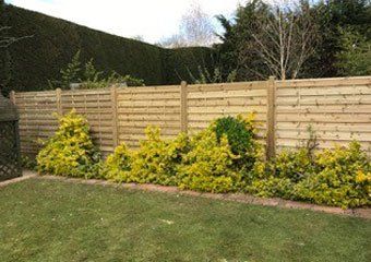 garden fence