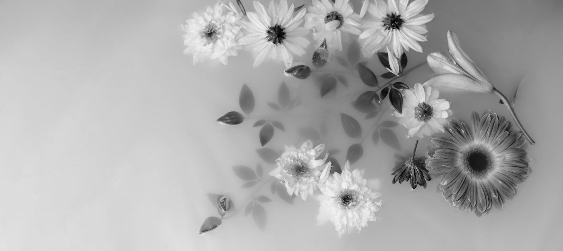 A black and white photo of flowers floating in a bathtub.