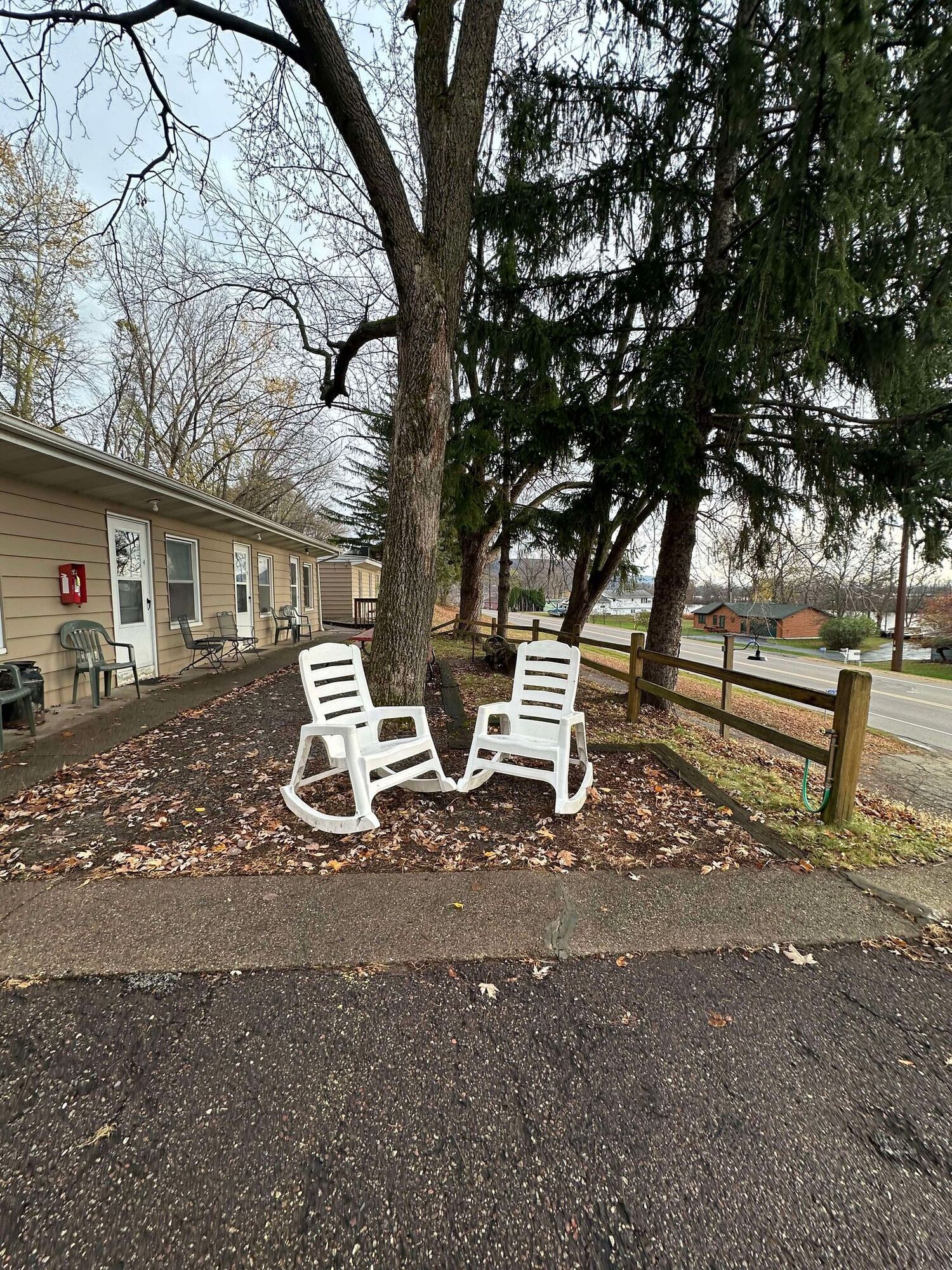 Two white rocking chairs are sitting under a tree in front of a house.