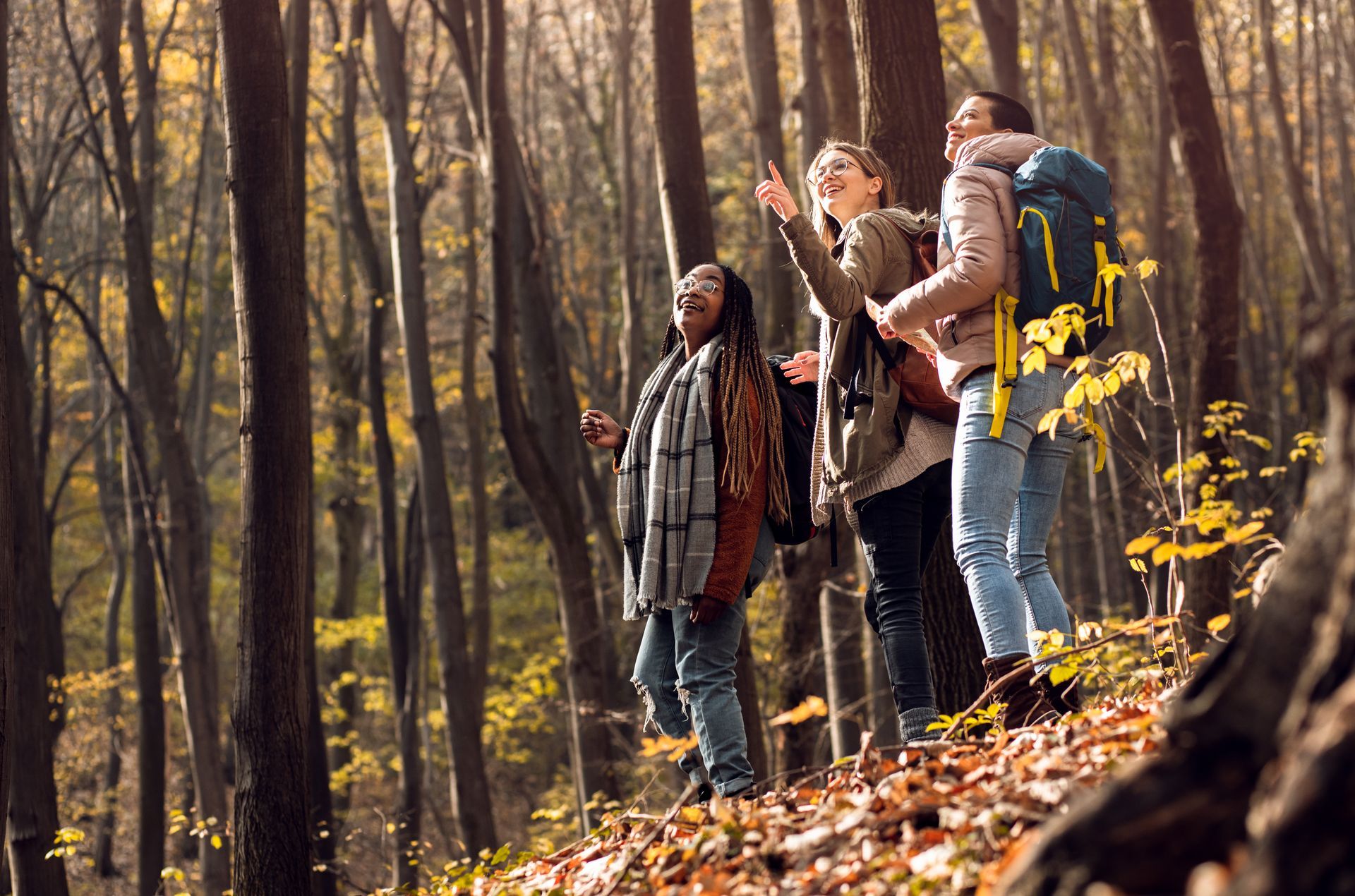 A sunset over a mountain range with a lot of fog