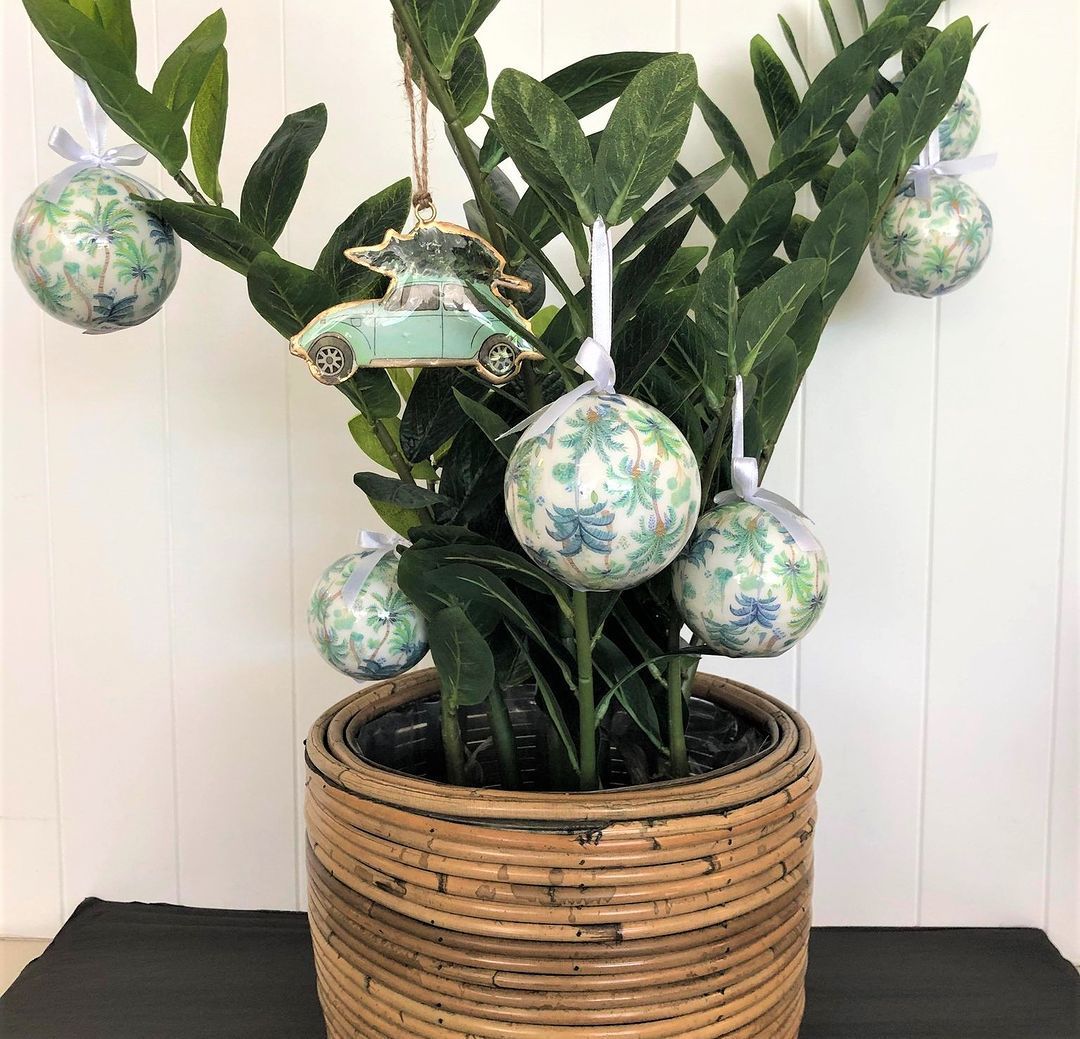 Beautiful Indoor Plants — Tropic Living in Palm Cove, QLD