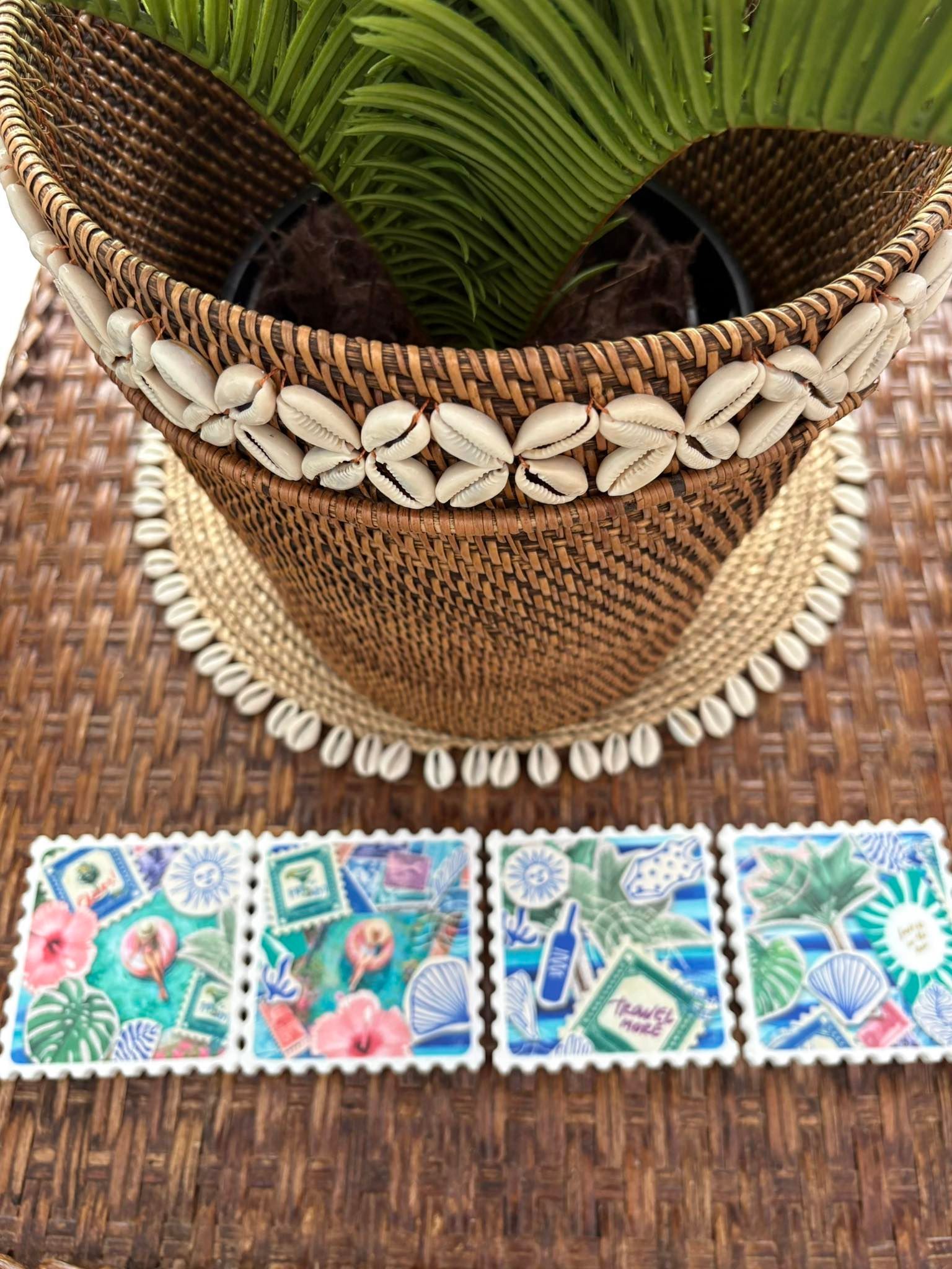 Potted Plant On A Wooden Side Table — Tropic Living in Palm Cove, QLD