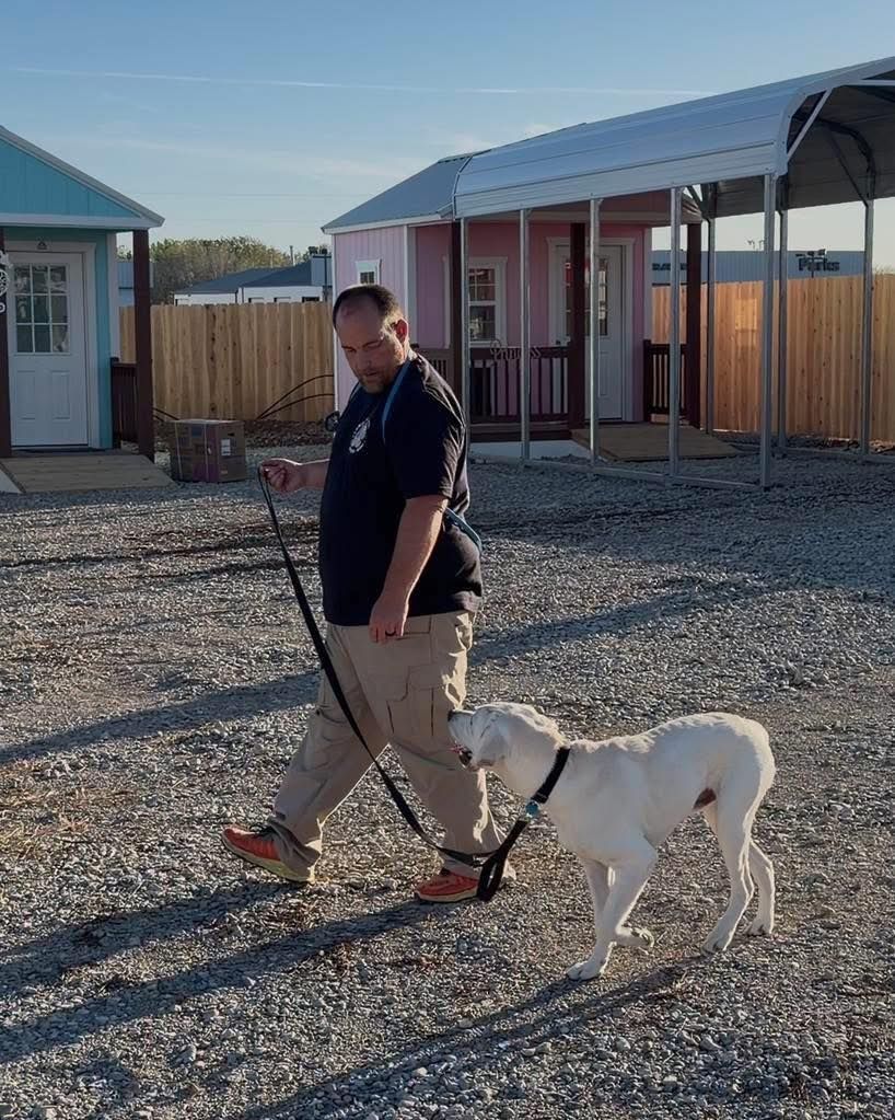 Board & Train Dog Programs in Andover, KS