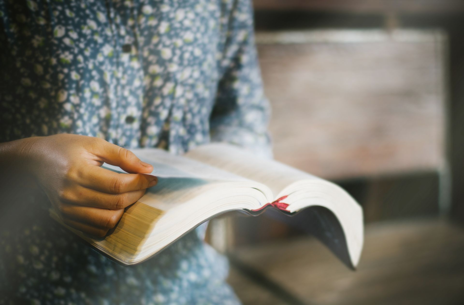Person holding open book, floral dress, indoors, reading. Person holding open book, floral dress, indoors, reading.