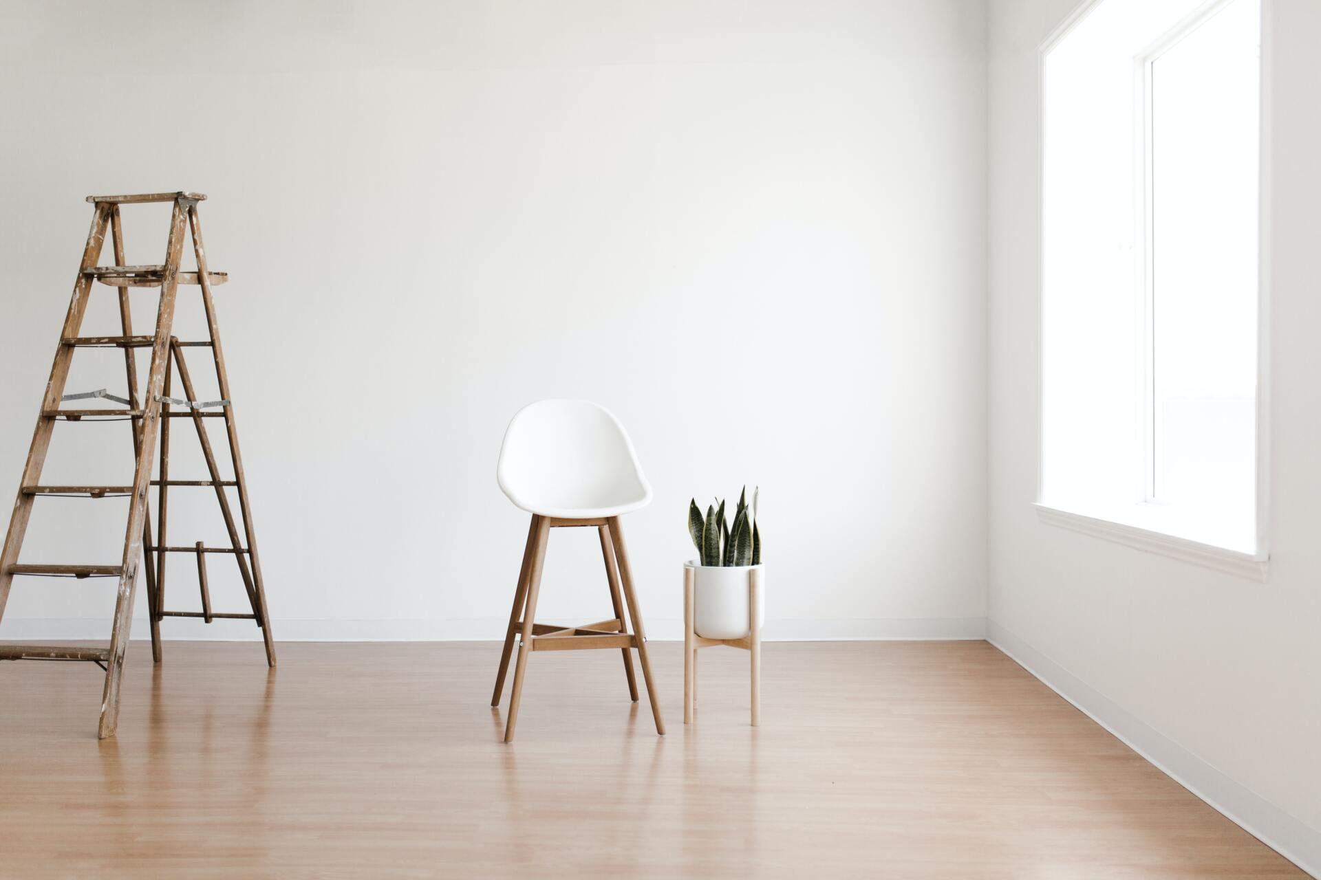 A chair, ladder, and plant placed on a sleek Hardwood floor