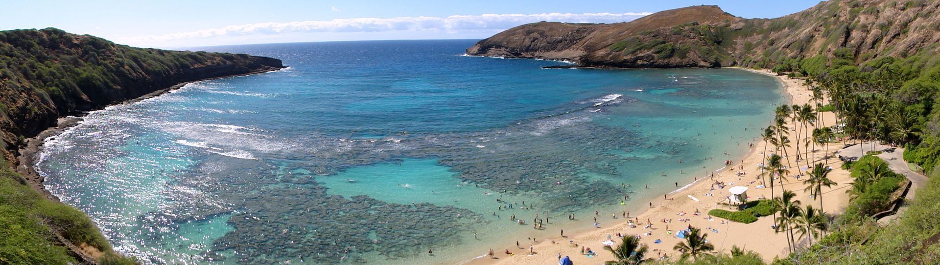 A large body of water surrounded by trees and a sandy beach.