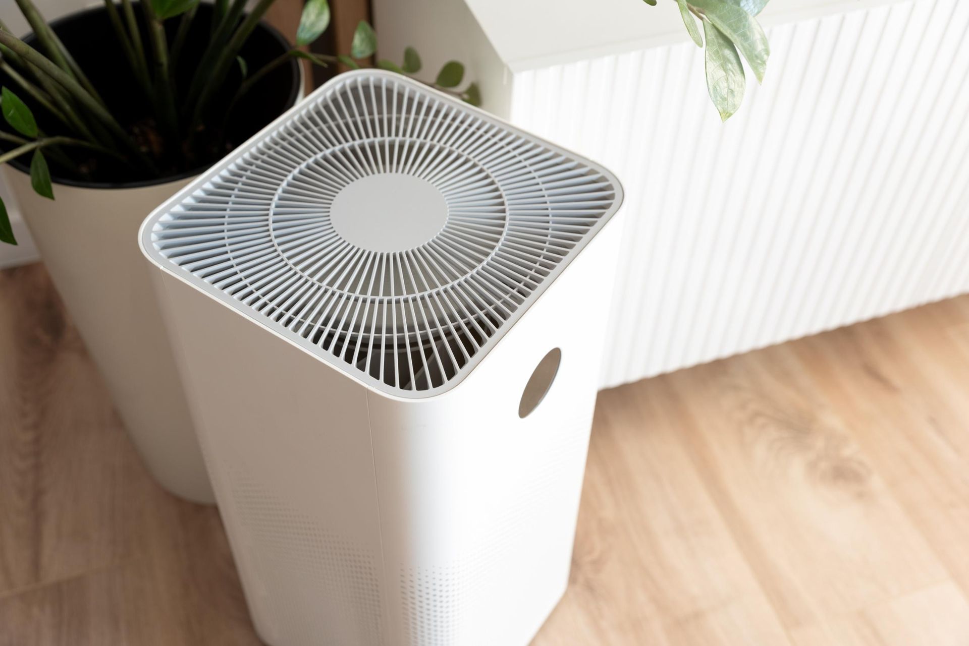 White air purifier on wooden floor, next to potted plants.