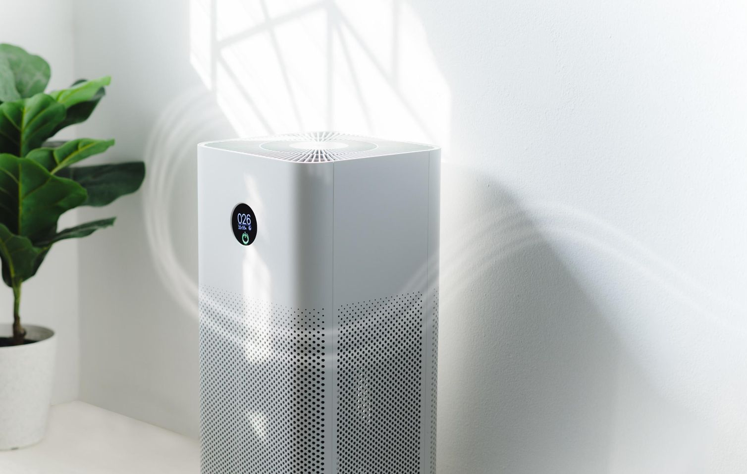 Air purifier next to a potted plant; bright room.