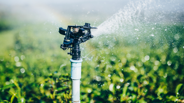 A sprinkler is spraying water on a lush green field.