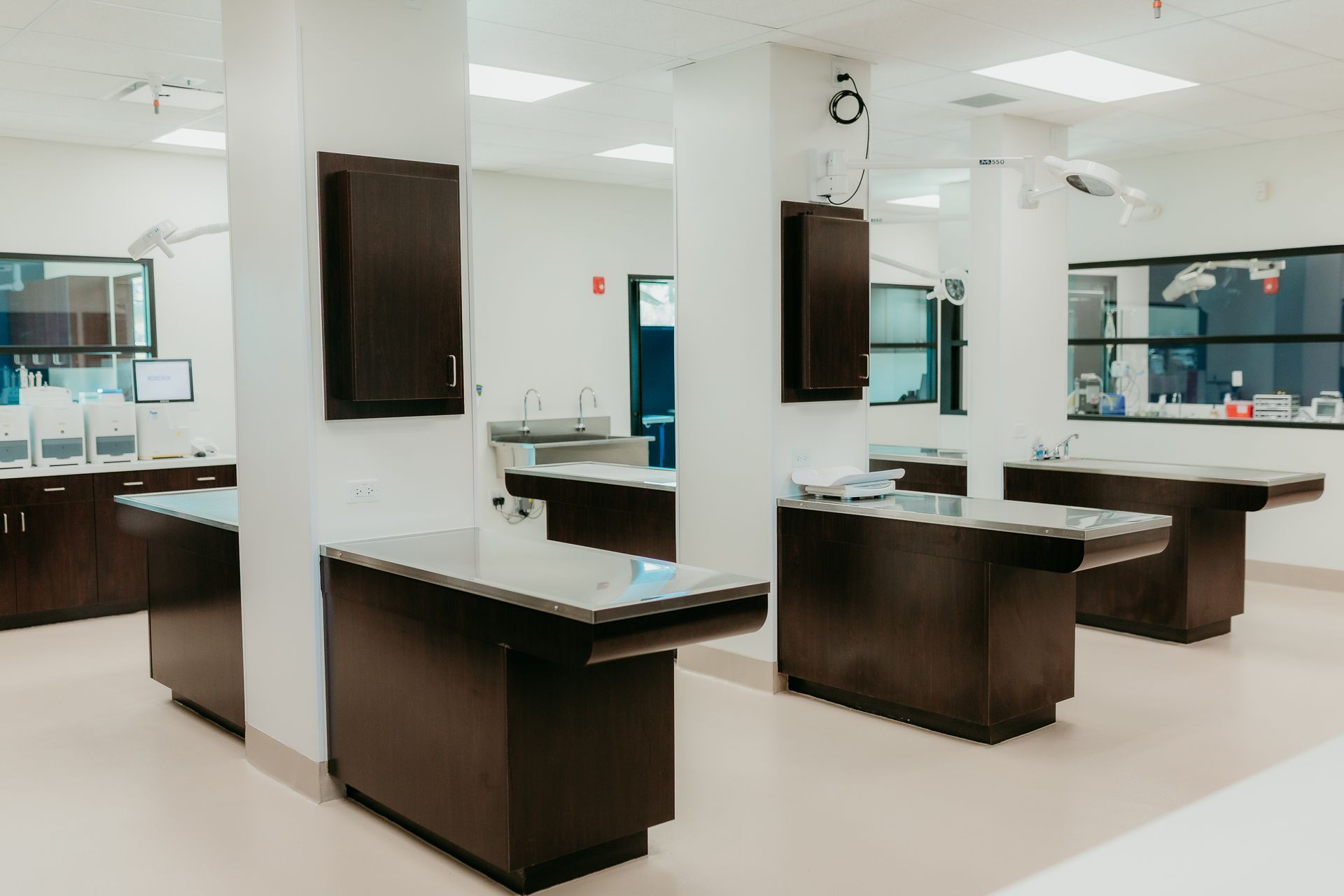 Veterinary surgical suite with stainless steel tables, dark cabinets, and white walls.