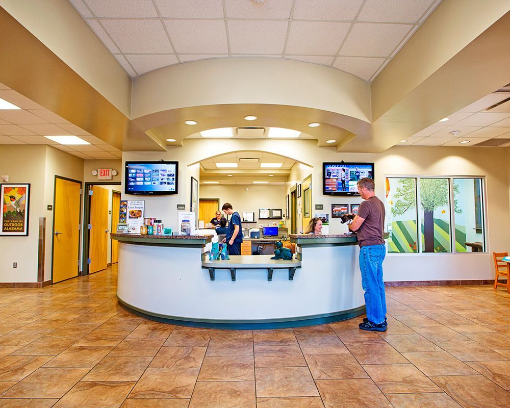Flint River Animal Hospital Bed ‘n Biscuit Boarding Facility