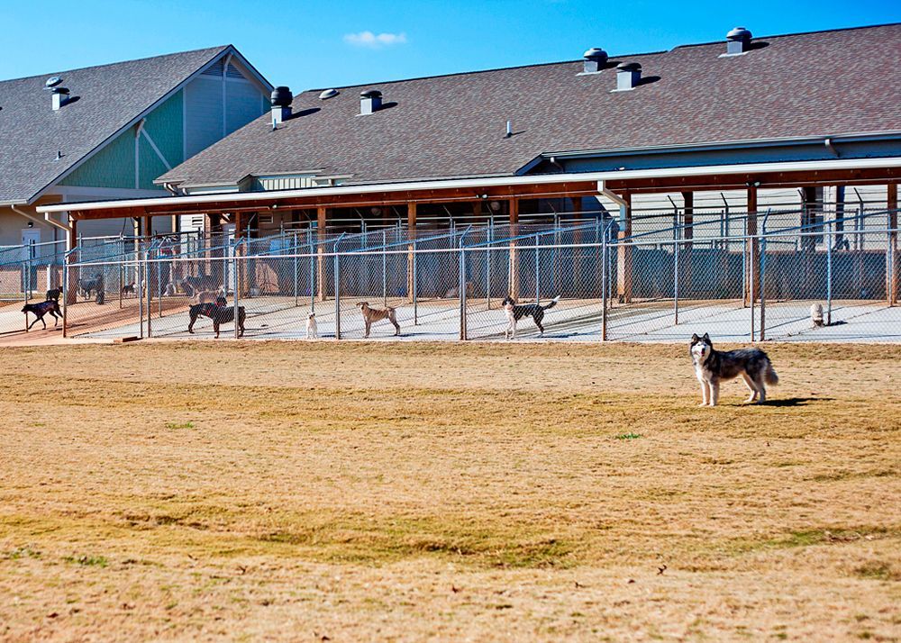 Flint River Animal Hospital Bed ‘n Biscuit Boarding Facility
