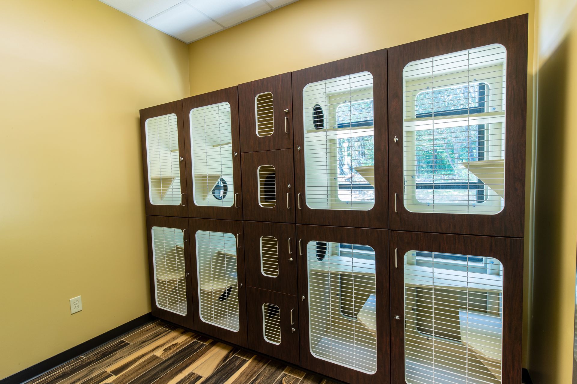 Brown pet kennels with clear doors inside a tan-walled room.