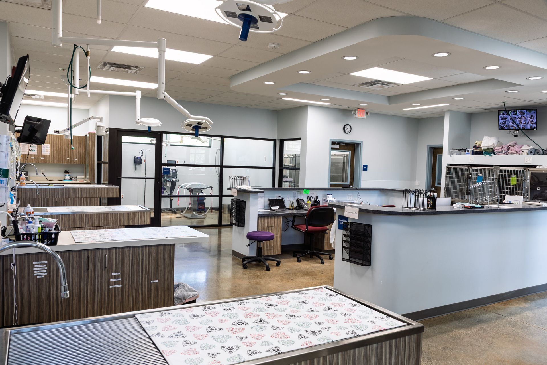 Animal Emergency Care of Braselton