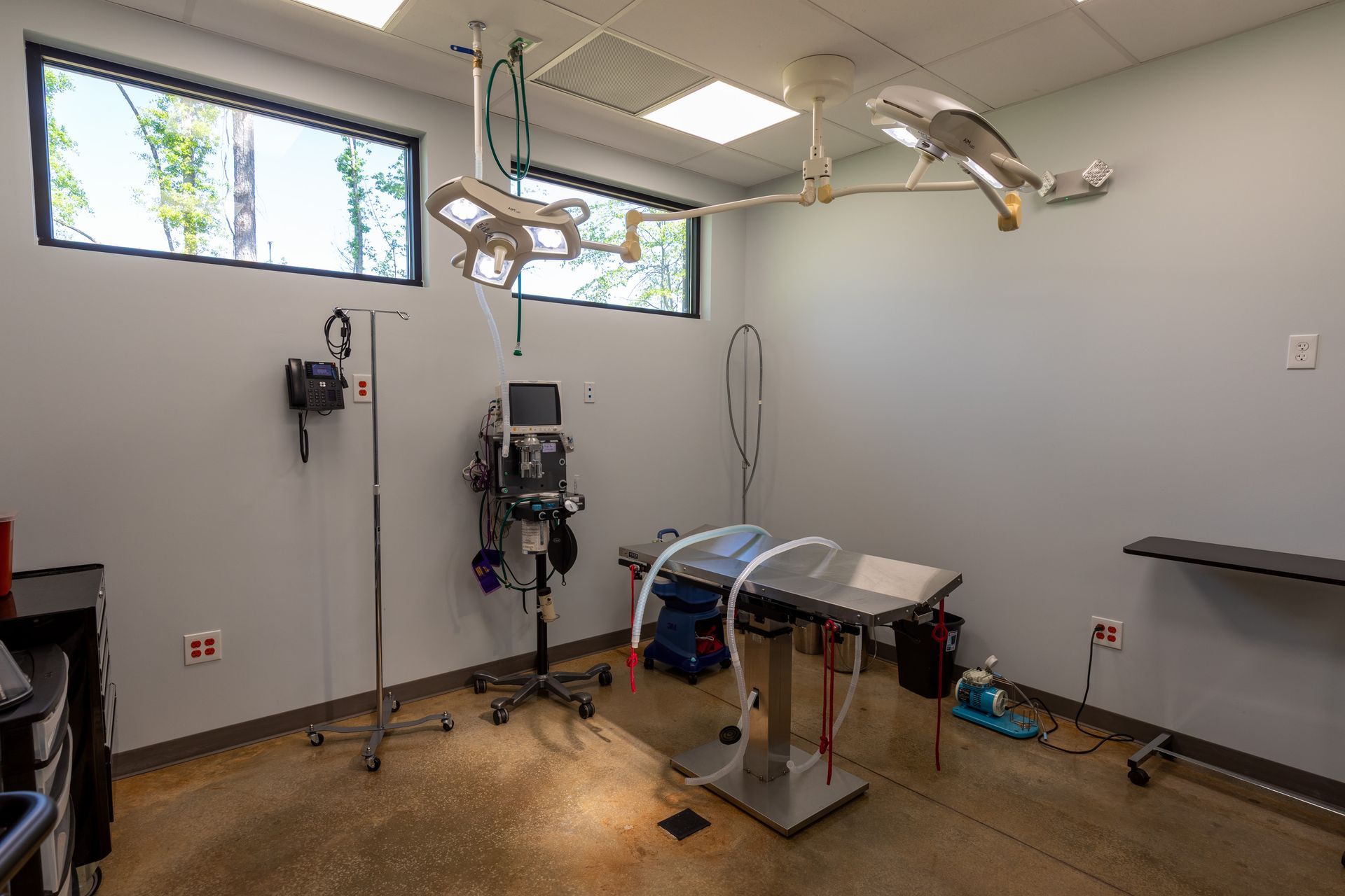 Animal Emergency Care of Braselton