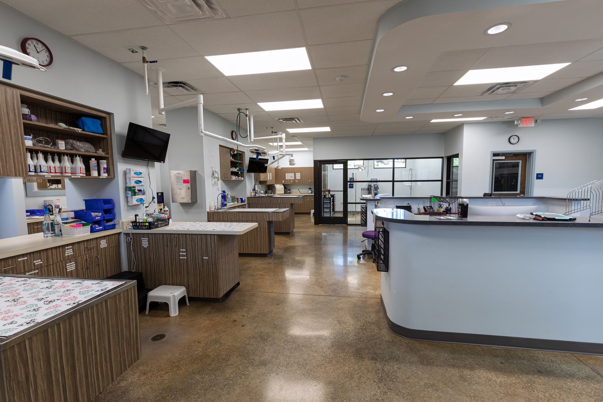 Animal Emergency Care of Braselton