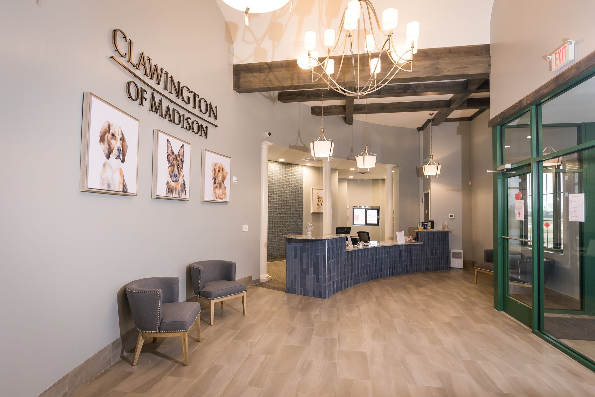 Reception area of Clawington of Madison, featuring chairs, a counter, and pet portraits on the wall.