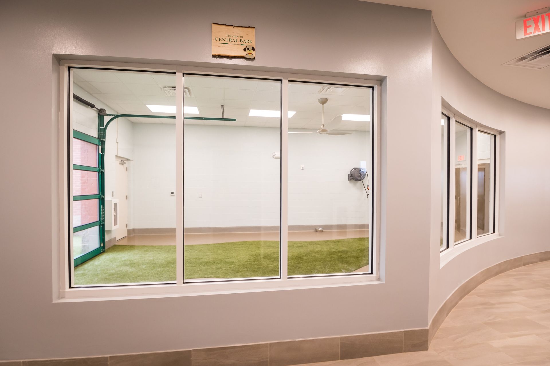 Indoor dog play area viewed through a large window, with green turf floor, white walls, and a curved hallway.