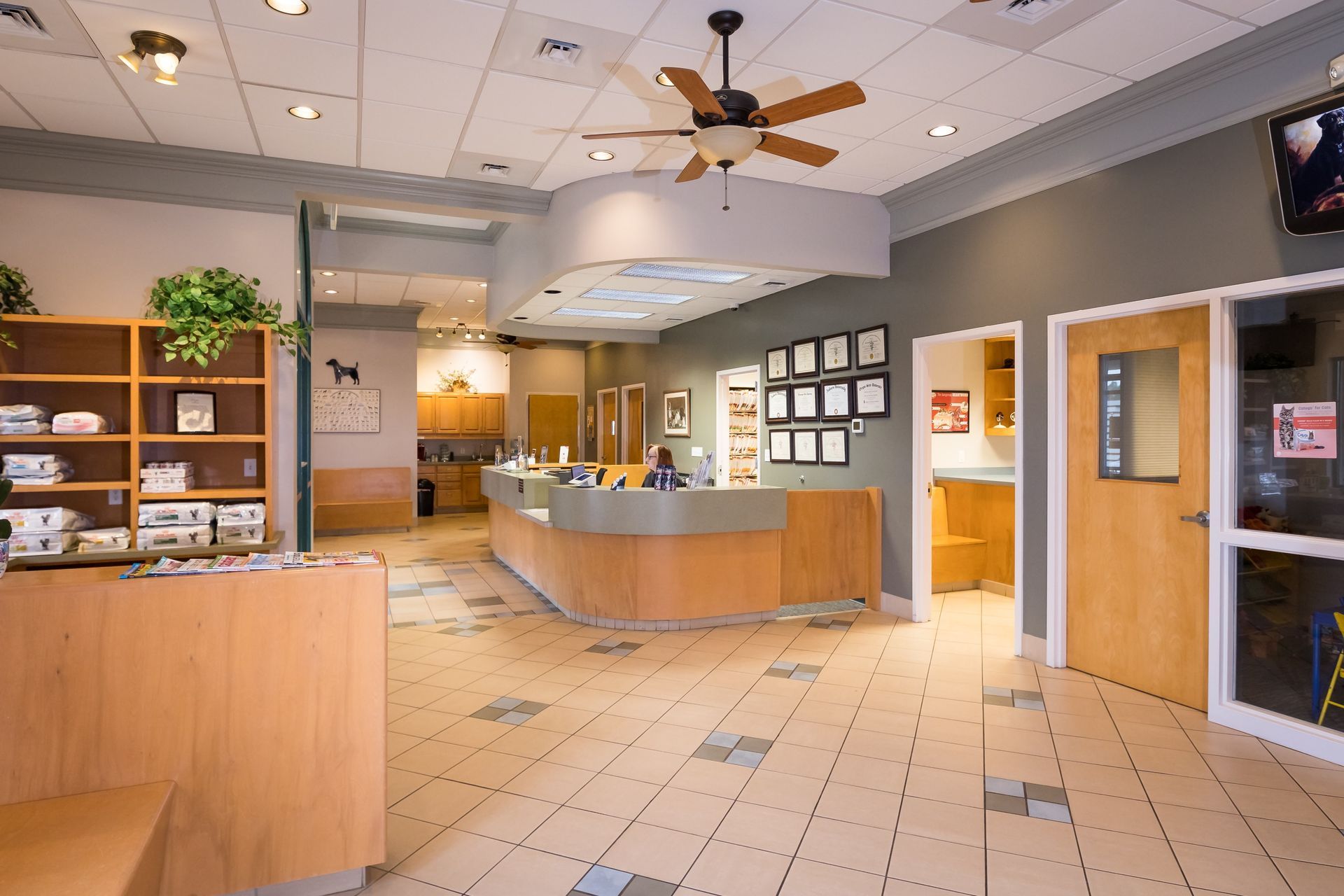 Veterinary clinic reception area. Features a curved front desk, tiled floor, awards on the wall, and doors.