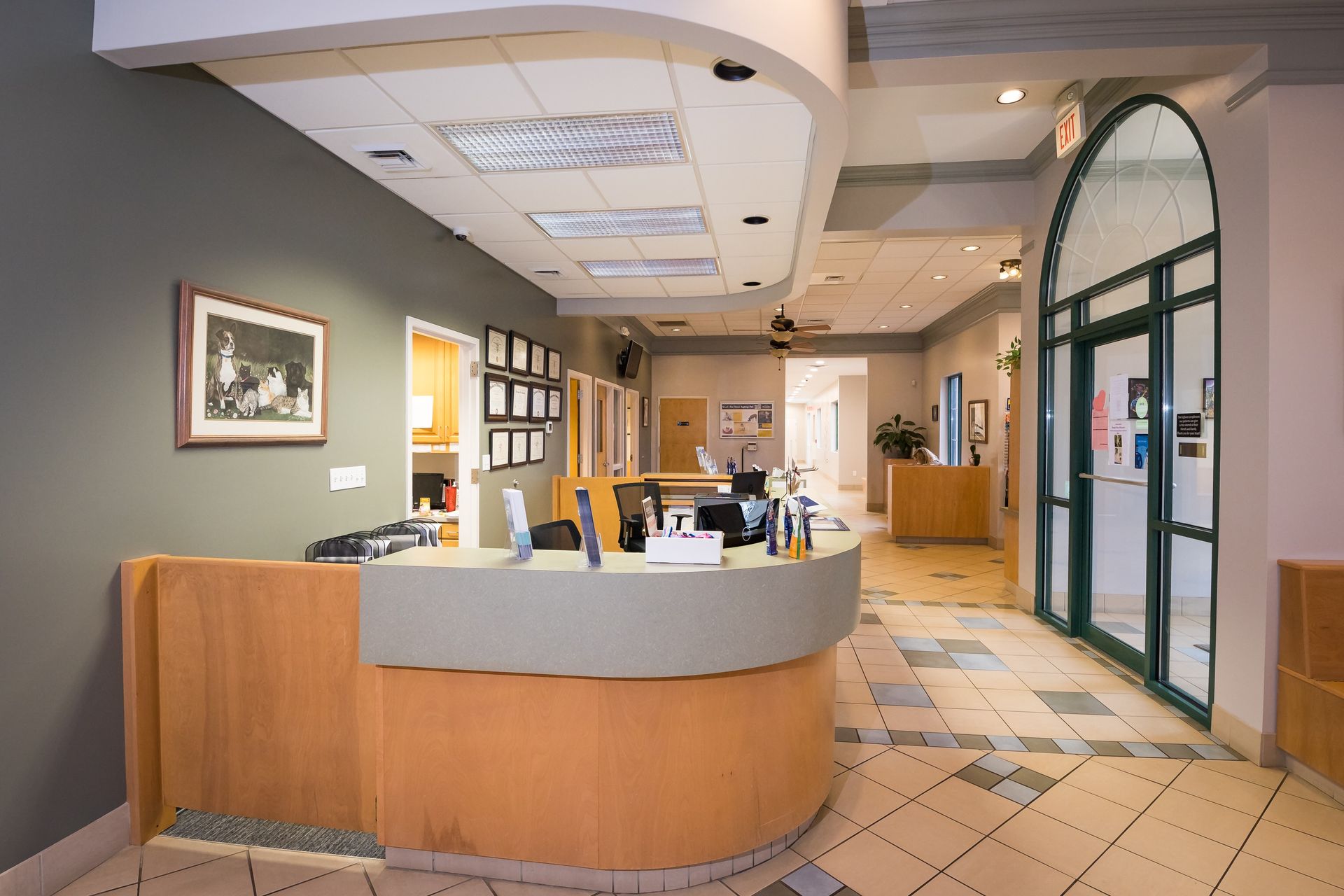 Reception area with curved desk, framed art, and hallway with doors.