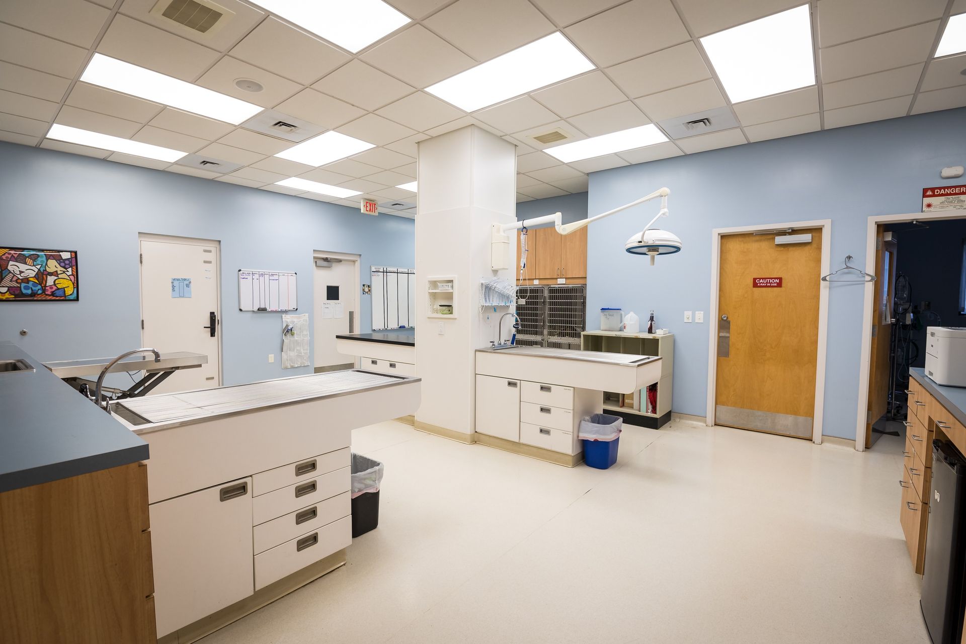 Veterinary examination room: pale blue walls, white cabinets, stainless steel surfaces, medical equipment, and bright overhead lights.