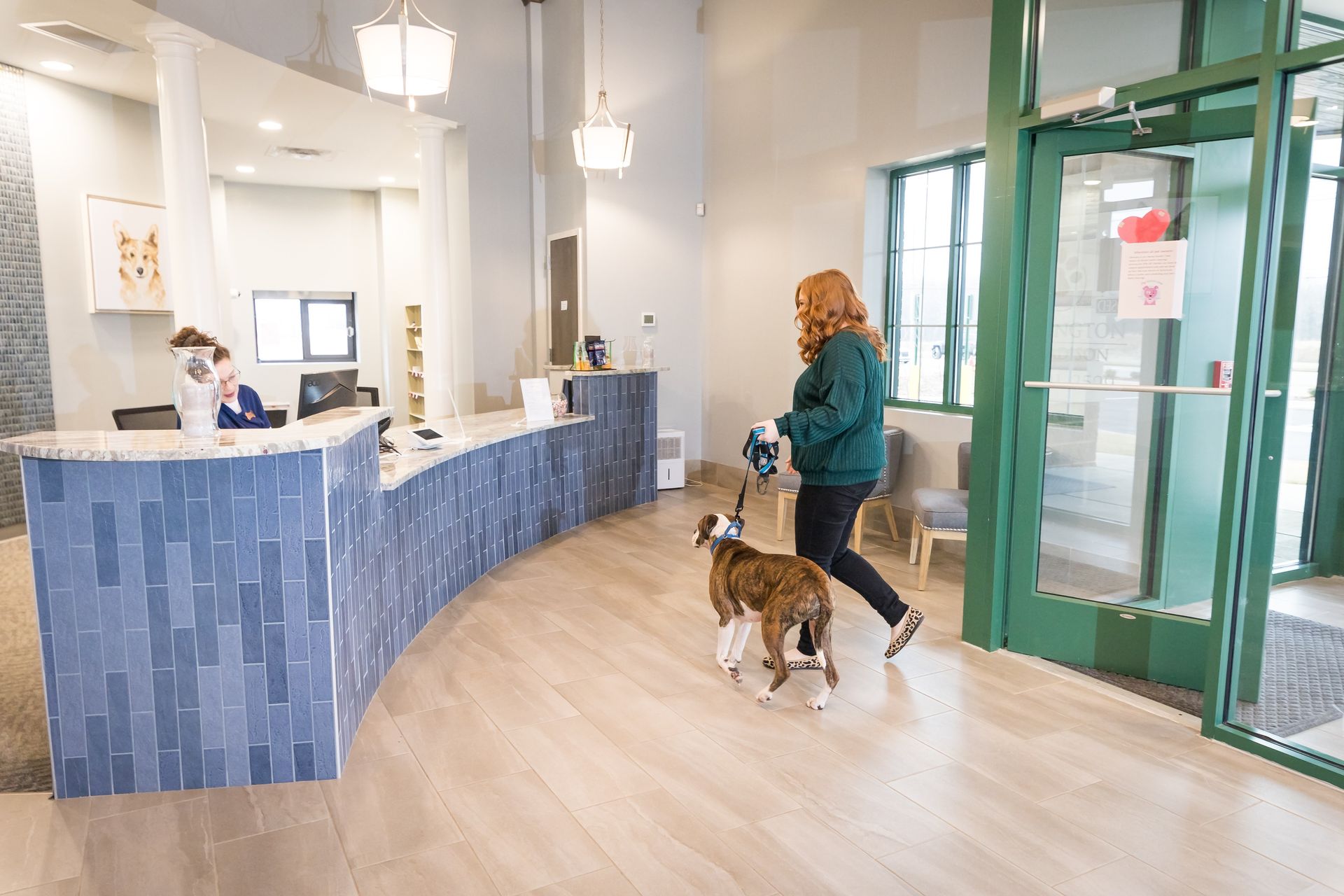 Person with dog walks into veterinary clinic,